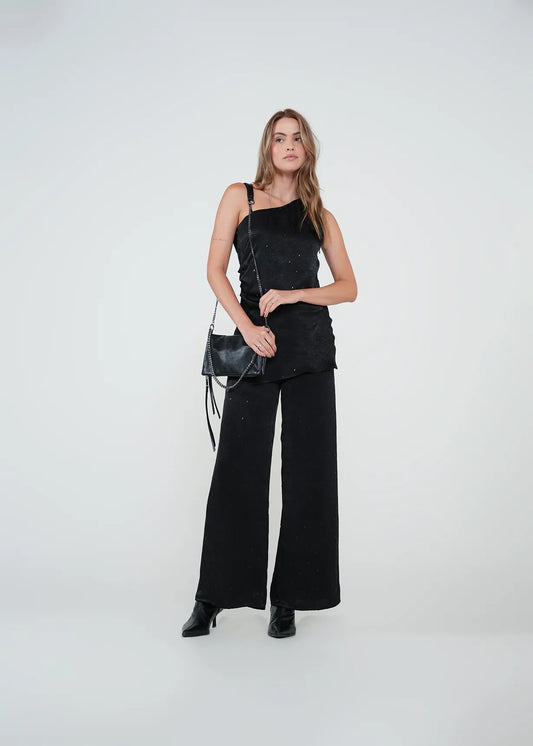 Palazzo pants with shine