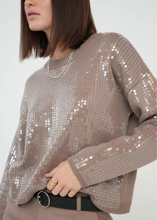 Woven sequin-woven diver